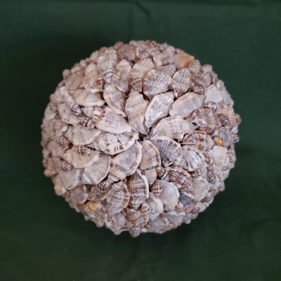 Seashell Home Decor Big Ball Sphere Sea Shell Beach Handmade - Picture 3 of 9